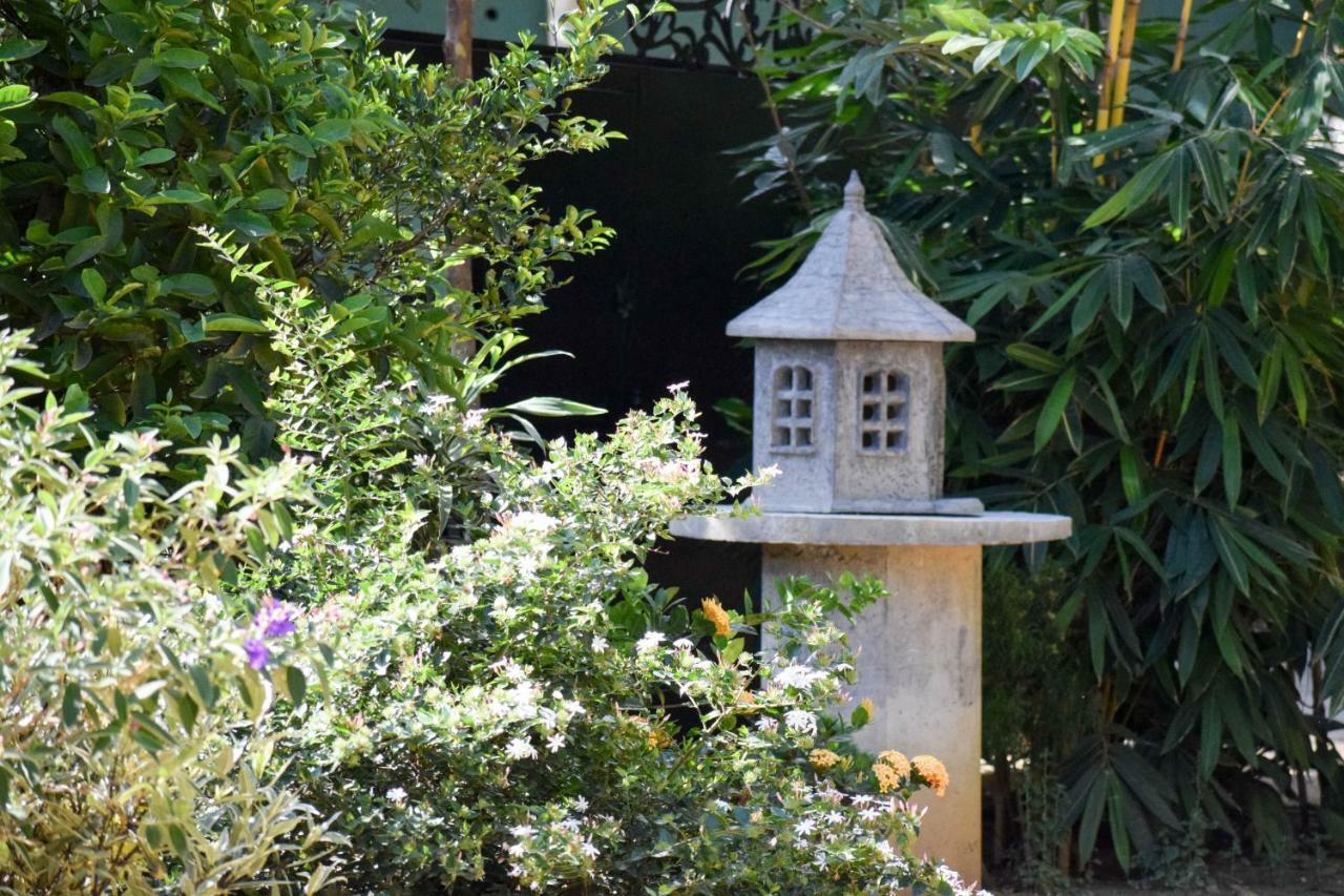 אלה The Wisdom Home מראה חיצוני תמונה